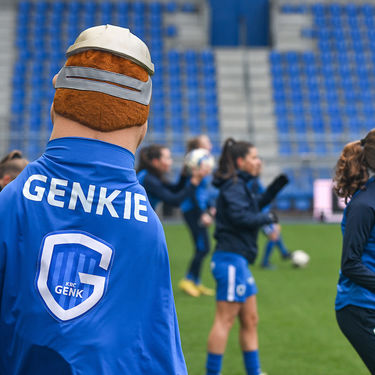 GENK VS ZULTE-WAREGEM