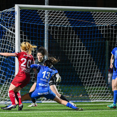 GENK VS ZULTE WAREGEM