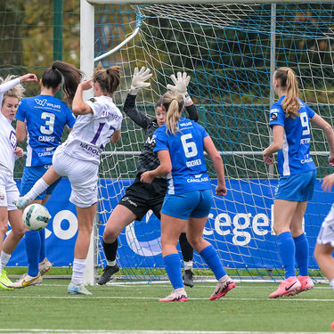 241109 KRC GENK VS RSC ANDERLECHT