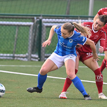 ZULTE-WAREGEM VS KRC GENK