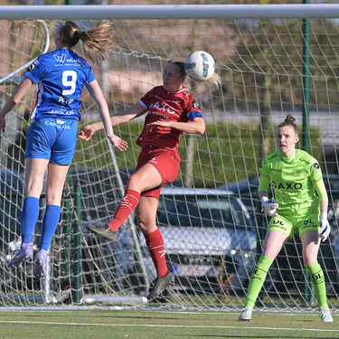 250329 ZULTE WAREGEM VS GENK